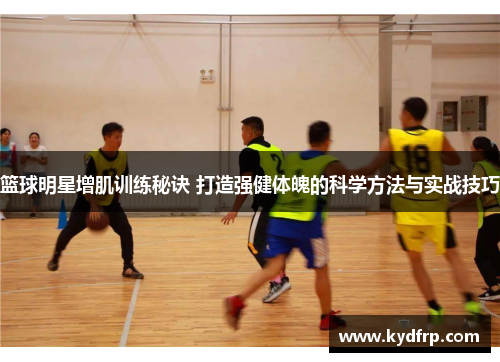 篮球明星增肌训练秘诀 打造强健体魄的科学方法与实战技巧